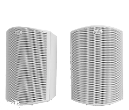 Polk Atrium 5 Enforce Records