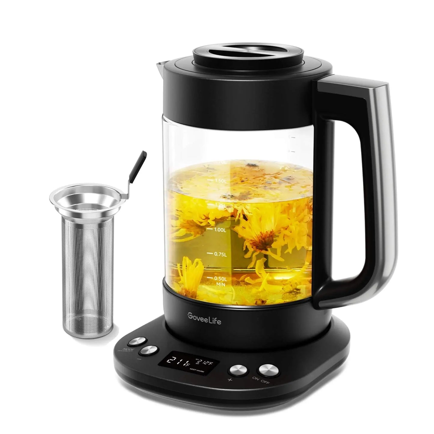 GoveeLife Smart Electric Kettle Pro Enforce Records