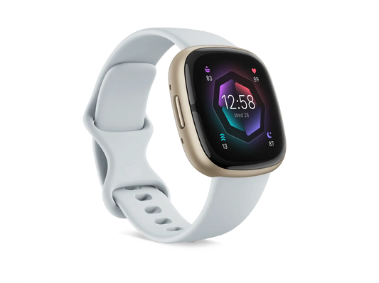 Fitbit Sense 2 Enforce Records