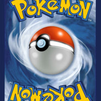 Pokemon TCG Mystery Pack [25 Cards]